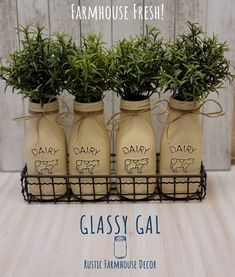 three jars with plants in them sitting on a table