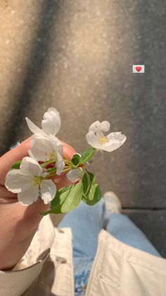 a person is holding some white flowers in their left hand and the other one has green leaves on it