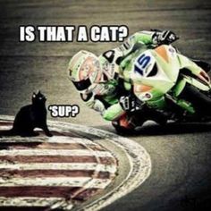 a person riding a motorcycle on a track with a black cat sitting next to it