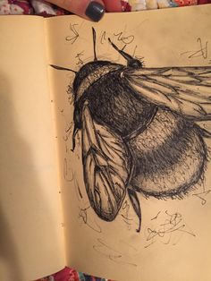 a drawing of a bee on an open book