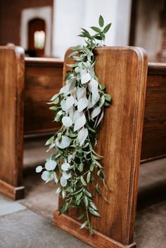 greenery is growing on the pews of a church