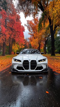 a white car parked on the side of a road in front of trees with orange leaves