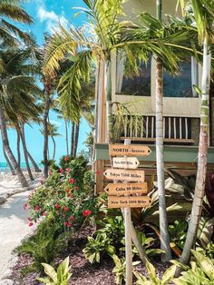 a wooden sign in front of some palm trees