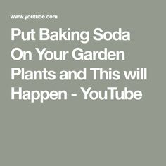 the words put baking soda on your garden plants and this will happen