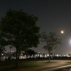 an empty park at night with the moon in the sky and trees on the ground