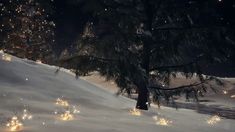 a tree in the middle of a snowy field with lights on it's branches