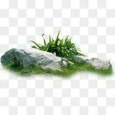 a rock and grass on a white background with green leaves in the foreground png