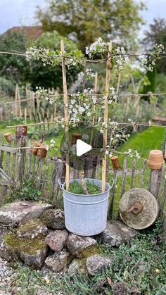 a potted plant sitting on top of a pile of rocks next to a fence