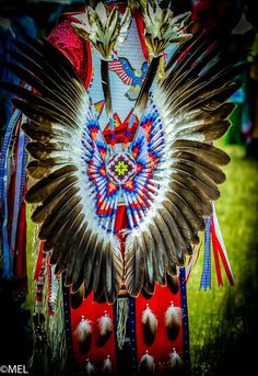 Lakota Indians, Old School Outfits, Native Wears, Indian Pictures, Native American Crafts