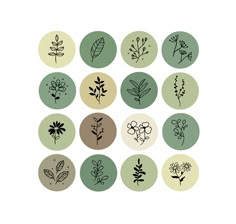 a bunch of different types of flowers on a white background with green and brown circles