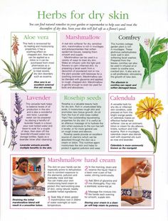 an advertisement for herbs for dry skin with pictures of flowers, leaves and other things