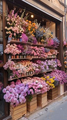 a flower shop with many different types of flowers on the shelves and in wooden boxes