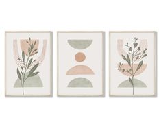 three framed art pieces with different shapes and plants on them, one in pink, the other in green