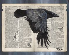 a black bird is flying over an old book page