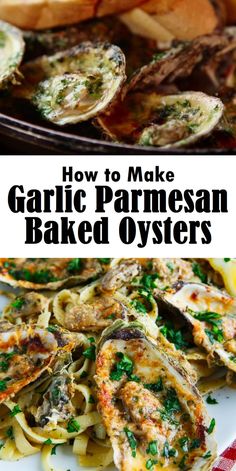 Garlic Parmesan Baked Oysters Chargrilled Oysters Recipe, Baked Oyster Recipes, Baked Oysters, Seafood Soup Recipes, Cooked Oysters, Hotdish Recipes, Gourmet Appetizers