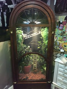 an old grandfather clock with plants in it