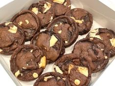 chocolate cookies with white chunks in a box