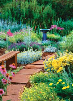 an image of a garden with flowers and plants in it that says tough - as - nails perennial garden plan