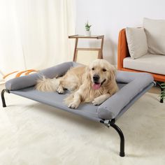 a dog laying on top of a bed in a living room