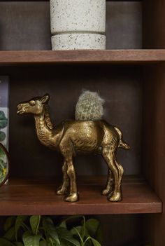 a golden camel figurine sitting on top of a wooden shelf next to a potted plant