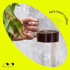 a person holding a glass filled with liquid next to a plant and the words let's have coffee on it