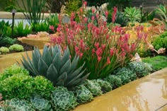 a garden filled with lots of different types of flowers and plants next to each other