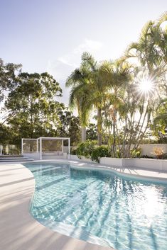 an empty swimming pool surrounded by palm trees and greenery with a soccer goal in the middle