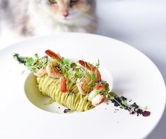 a white plate topped with pasta covered in shrimp and garnished with parsley