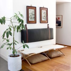 a living room with a couch, potted plant and two pictures on the wall