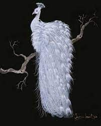 a white peacock sitting on top of a tree branch next to a leafless twig