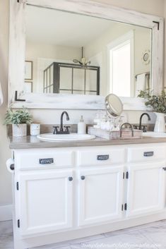 a bathroom sink with a mirror above it and a potted plant on the counter