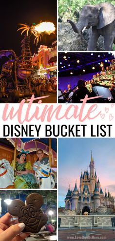 the ultimate disney bucket list is here