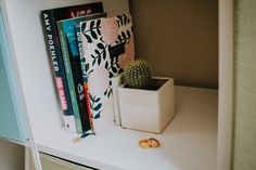 a couple of books sitting on top of a white shelf next to a cactus plant