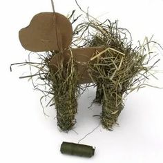 a dog made out of sticks and hay with a bottle on the ground next to it