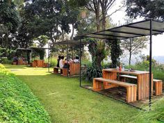 people sitting at wooden benches in the middle of a grassy area with trees and bushes