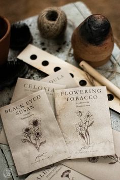 four seed packets sitting on top of a table