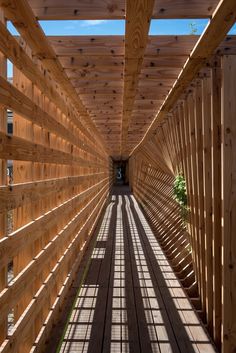 the walkway is lined with wooden slats