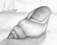 a pencil drawing of a sea shell with a sailboat in the background