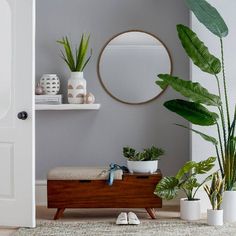 a living room filled with lots of furniture and potted plants on top of it