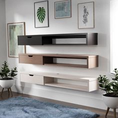 a living room scene with focus on the entertainment center and potted plants in the corner