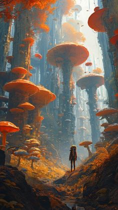 a man standing in the middle of a forest filled with lots of orange and yellow mushrooms