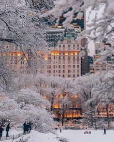 snow covered trees and buildings in the city at night with people walking on the sidewalk