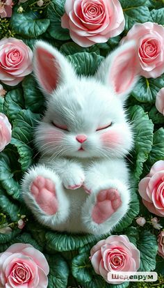 a white bunny is surrounded by pink roses and green leaves, with its eyes closed