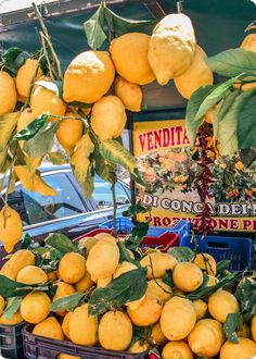 lemons are hanging from the tree in front of a vendor's booth at an outdoor market