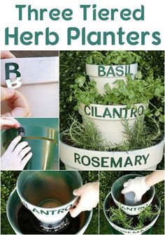 there are pictures of plants growing in herb planters with the words, three tiered herb planters