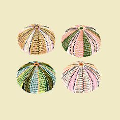 three different types of umbrellas on a beige background