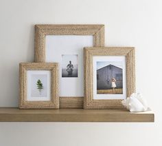 three framed pictures on a shelf next to two seashells and a white flower