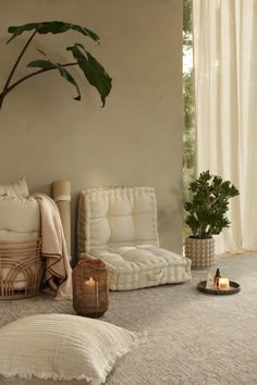 a living room filled with furniture and a potted plant on the floor next to a window