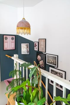 some plants are sitting on the railing in front of pictures and lights hanging from the ceiling