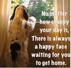 a dog standing on its hind legs looking out a window with the words, no matter how - happy your day is there is always a happy face waiting for you to get home